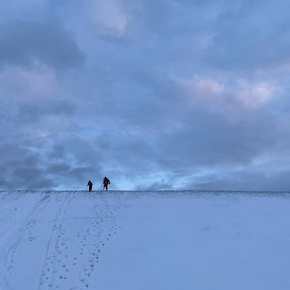 Meet your Posher, Holly - Picture 1 of 1